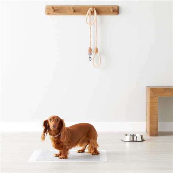 Leak-Proof Puppy Training Pads, Odor Control, Quick-Dry Surface,Regular,120-Pack - Picture 6 of 7